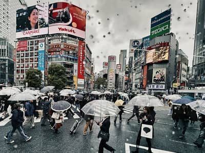 Rainy Day at Shibuya Crossing