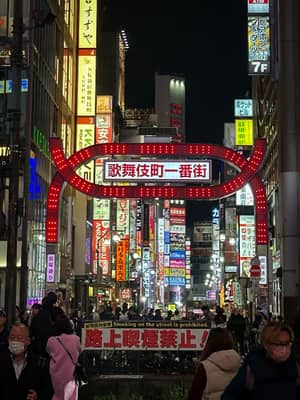 Kabuki-cho Street at Night, Tokyo
