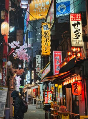 Shinjuku Alley at Night with Traditional Lanterns and Neon Signs