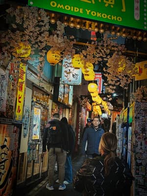 Cherry Blossoms and Lanterns in Shinjuku Alley