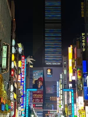 Neon-Lit Entertainment District in Tokyo at Night