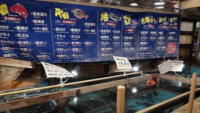 Seafood Menu Board with Live Fish Tanks at Tokyo Izakaya