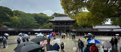 Rainy Day at Meiji Shrine Courtyard, Tokyo