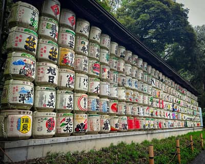 Sake Barrel Display at Meiji Shrine
