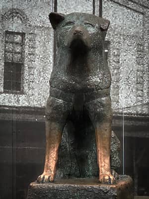 Hachiko Statue, Tokyo