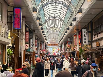 Covered Shopping Arcade with Traditional Lanterns, Tokyo