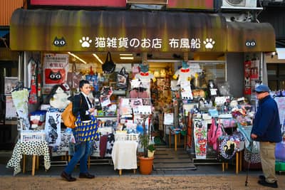 Cat Merchandise Shop on Tokyo Street