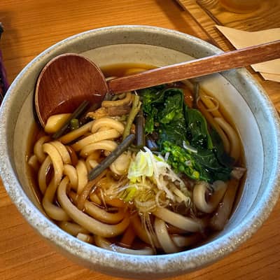 Traditional Udon Noodle Soup in Ceramic Bowl
