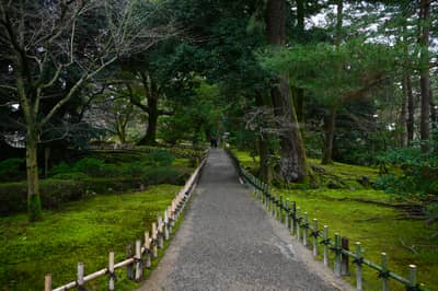 Moss-Lined Garden Path in Kanazawa, Japan