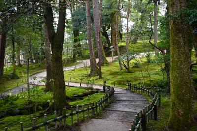 Tranquil Pathway Through Japanese Garden in Kanazawa