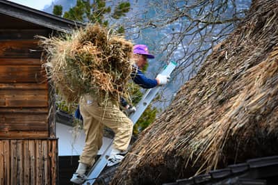 Traditional Thatching Work at Shirakawa-go Village
