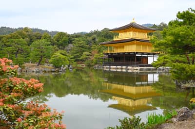 Kinkaku-ji Golden Pavilion Reflected in Garden Pond, Kyoto