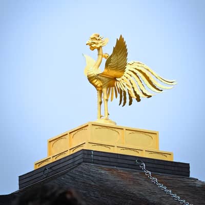 Golden Phoenix Finial at Kinkaku-ji Temple