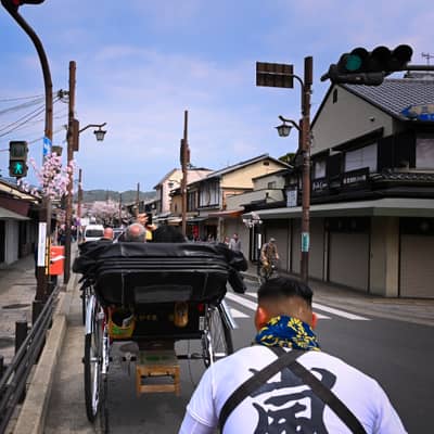 Rickshaw Ride Through Cherry Blossom Streets in Kyoto
