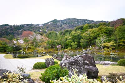 Tenryuji Temple Garden with Spring Blossoms, Kyoto
