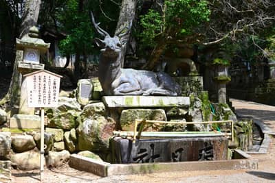 Sacred Stone Deer Statue at Nara Shrine Grounds