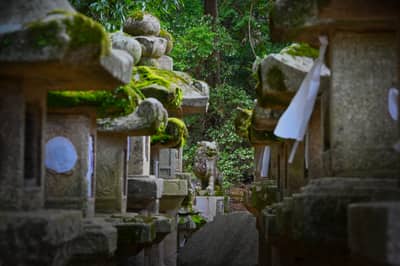 Moss-Covered Stone Lanterns and Guardian Statues at Nara Shrine