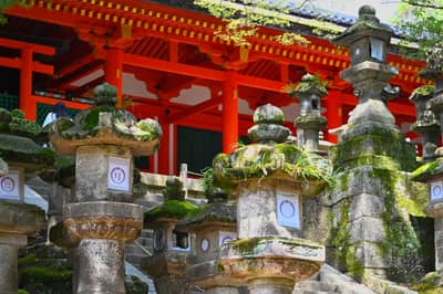 Moss-Covered Stone Lanterns at Vermillion Shrine, Nara