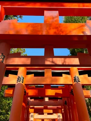 Vermillion Torii Gates at Fushimi Inari Shrine