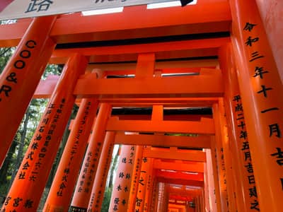 Torii Gate Tunnel at Fushimi Inari Shrine