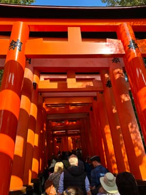 Vermillion Torii Gate Tunnel at Fushimi Inari Shrine