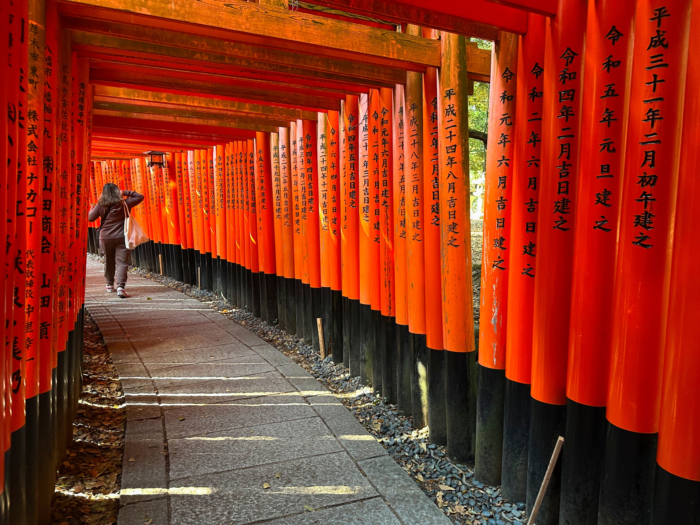 Torii Gate Tunnel at Fushimi Inari Shrine, Kyoto