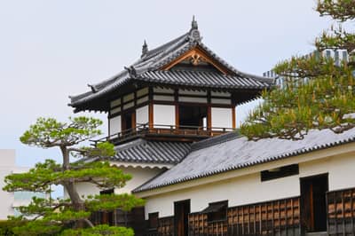 Hiroshima Castle Tower with Traditional Pine Trees