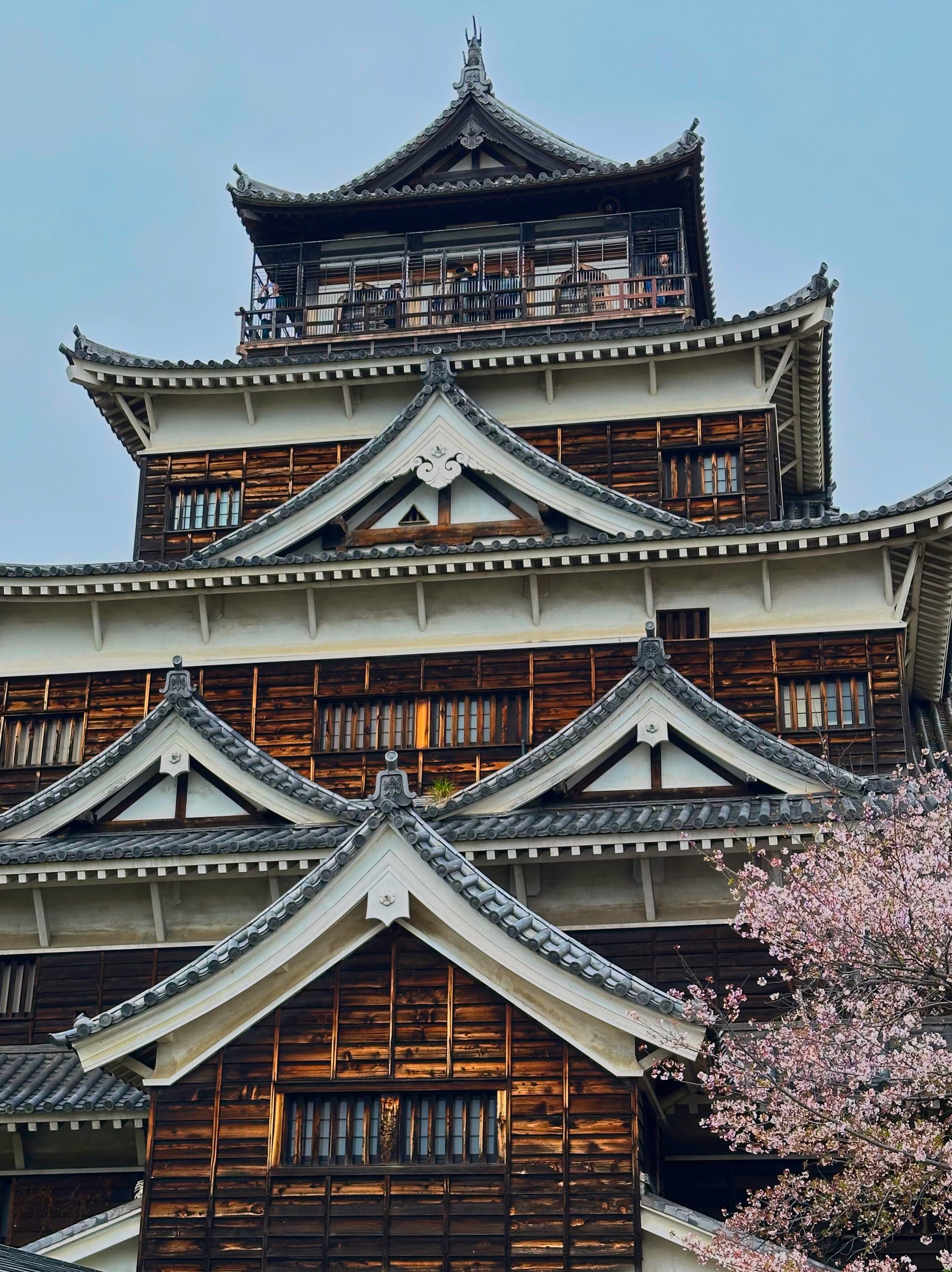 Hiroshima Castle with Cherry Blossoms in Spring