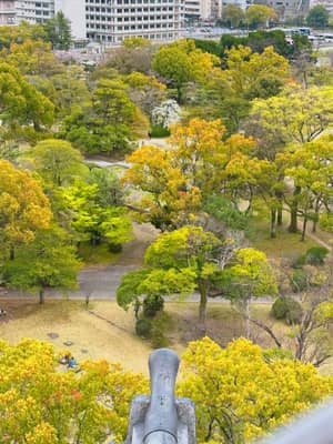 Autumn Foliage at Hiroshima Castle Grounds