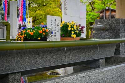 Bamboo Purification Fountain at Japanese Temple in Hiroshima