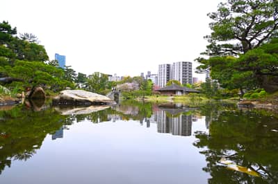 Traditional Japanese Garden with Modern Hiroshima Skyline