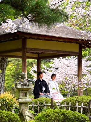 Couple in Traditional Kimono at Japanese Garden During Cherry Blossom Season