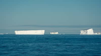 Tabular Icebergs in the Drake Passage